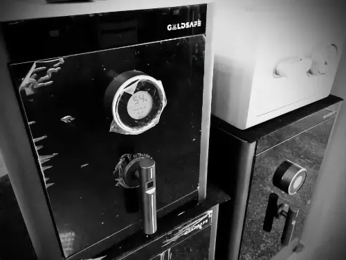 Goldsafe BF-S Series