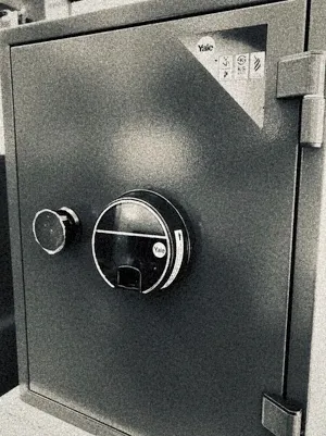 Yale YFF-520 Biometric