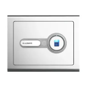 Goldsafe BF-E Series