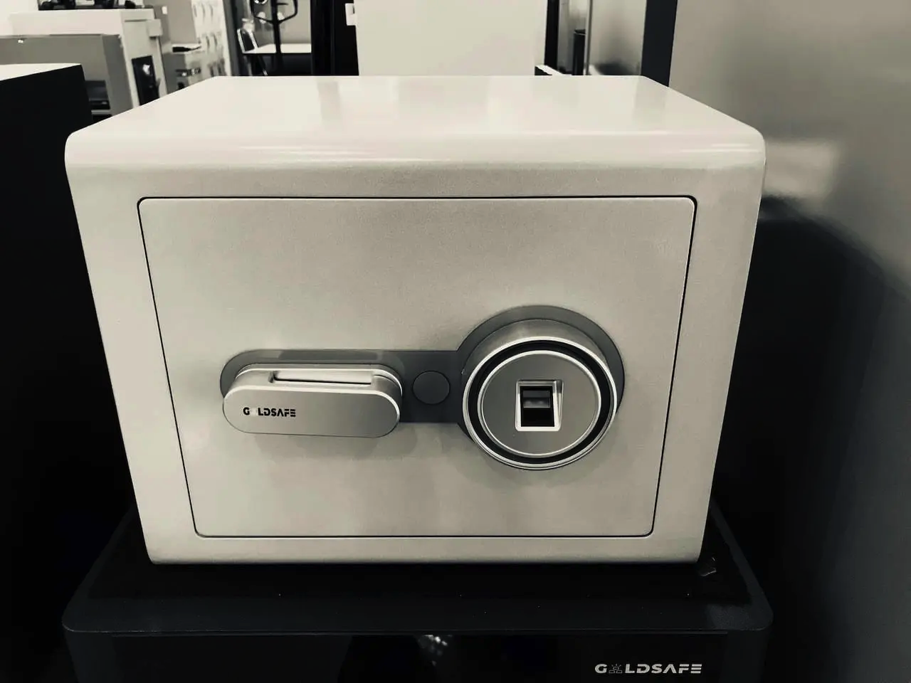 Goldsafe Fingerprint Detail